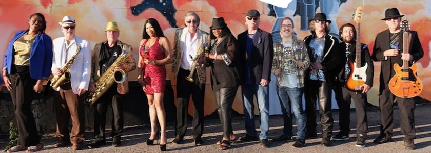 Soul Cats Band Performance